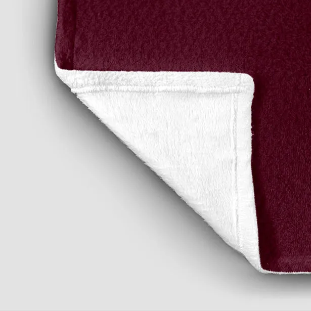 France - Passports Blanket