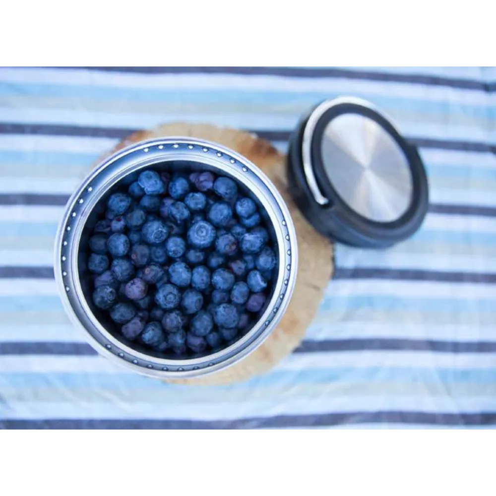 Klean | Kanteen TKCanister Insulated Food Container