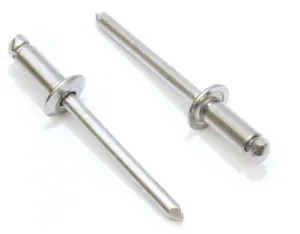 Rivets, Stainless Steel 1/8" x 5/16" Inch (100 Pack), Gap (0.25-0.31)", Blind Rivets